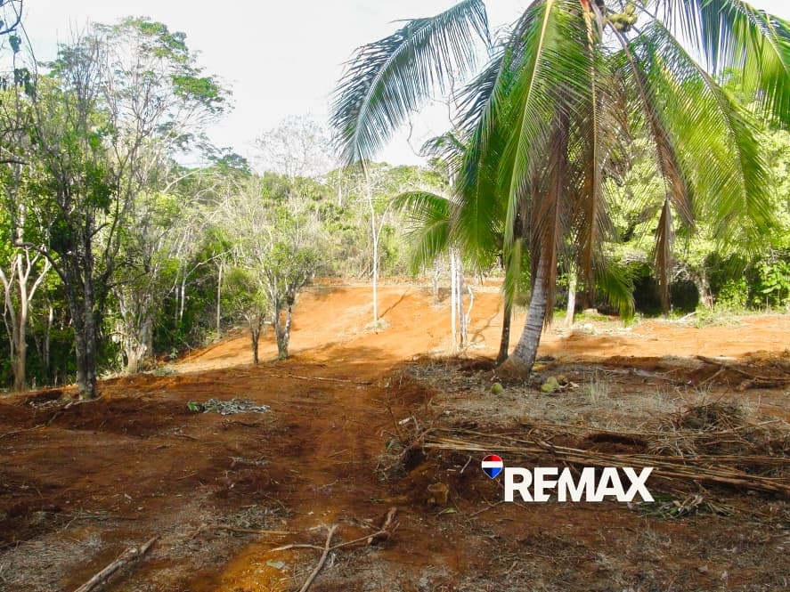 Prime Ocean View Lot | Playa Hermosa, photo 16
