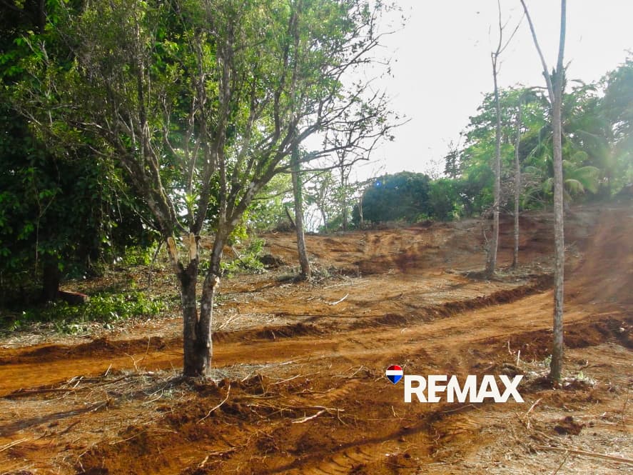 Prime Ocean View Lot | Playa Hermosa, photo 17