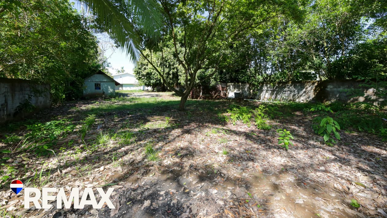 Titled Beach House | 6 bedrooms | Walk to the Beach, photo 7