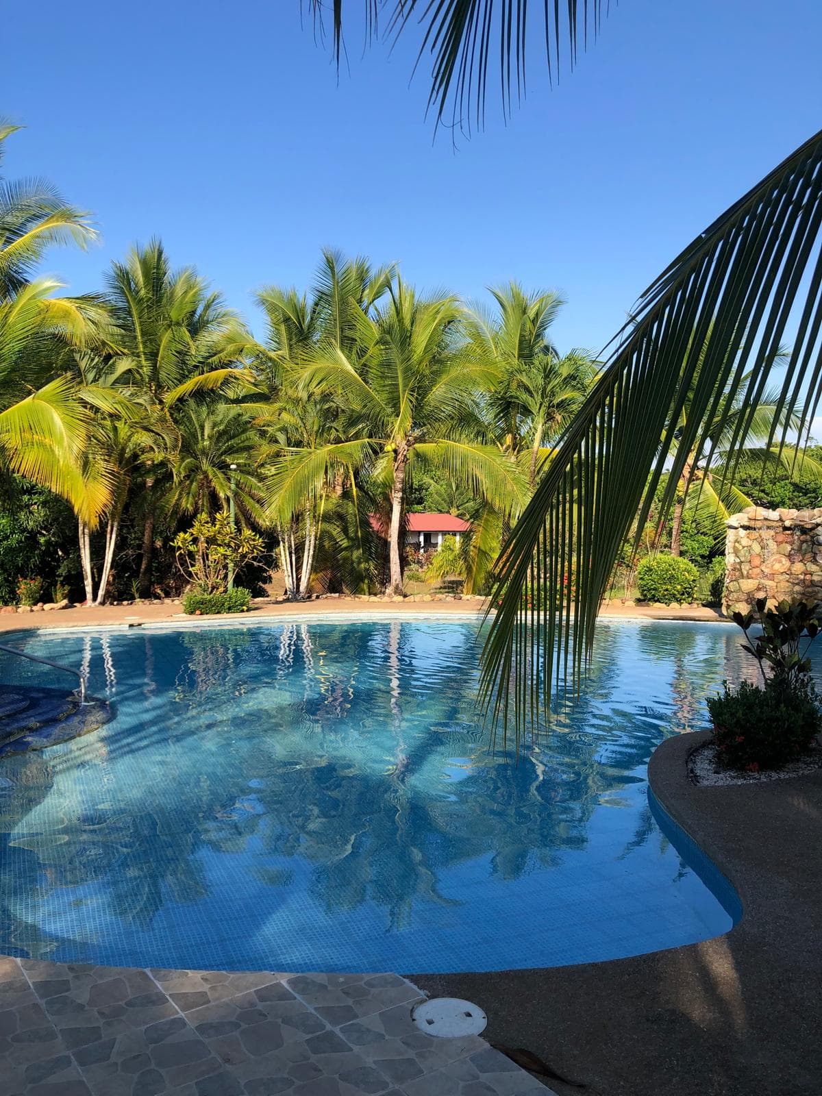 Lot for Sale in Rancho  Las Lomas de Parrita, photo 3