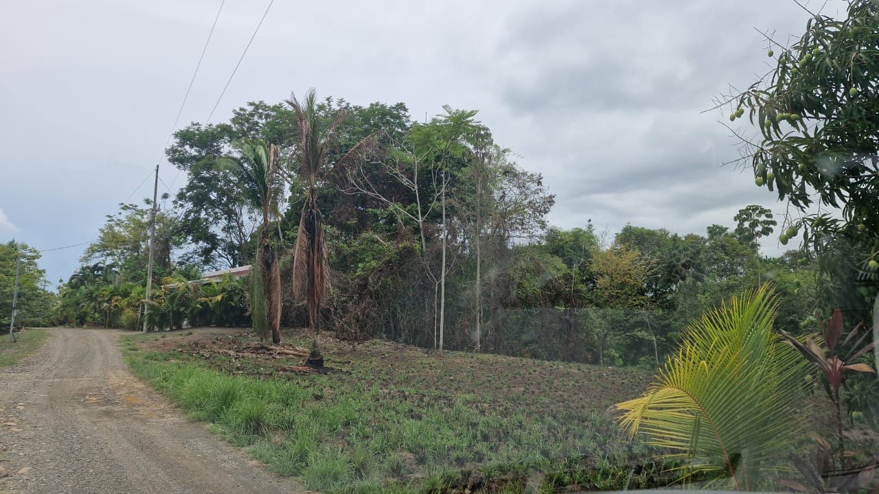 Lot for Sale in Rancho  Las Lomas de Parrita, photo 6