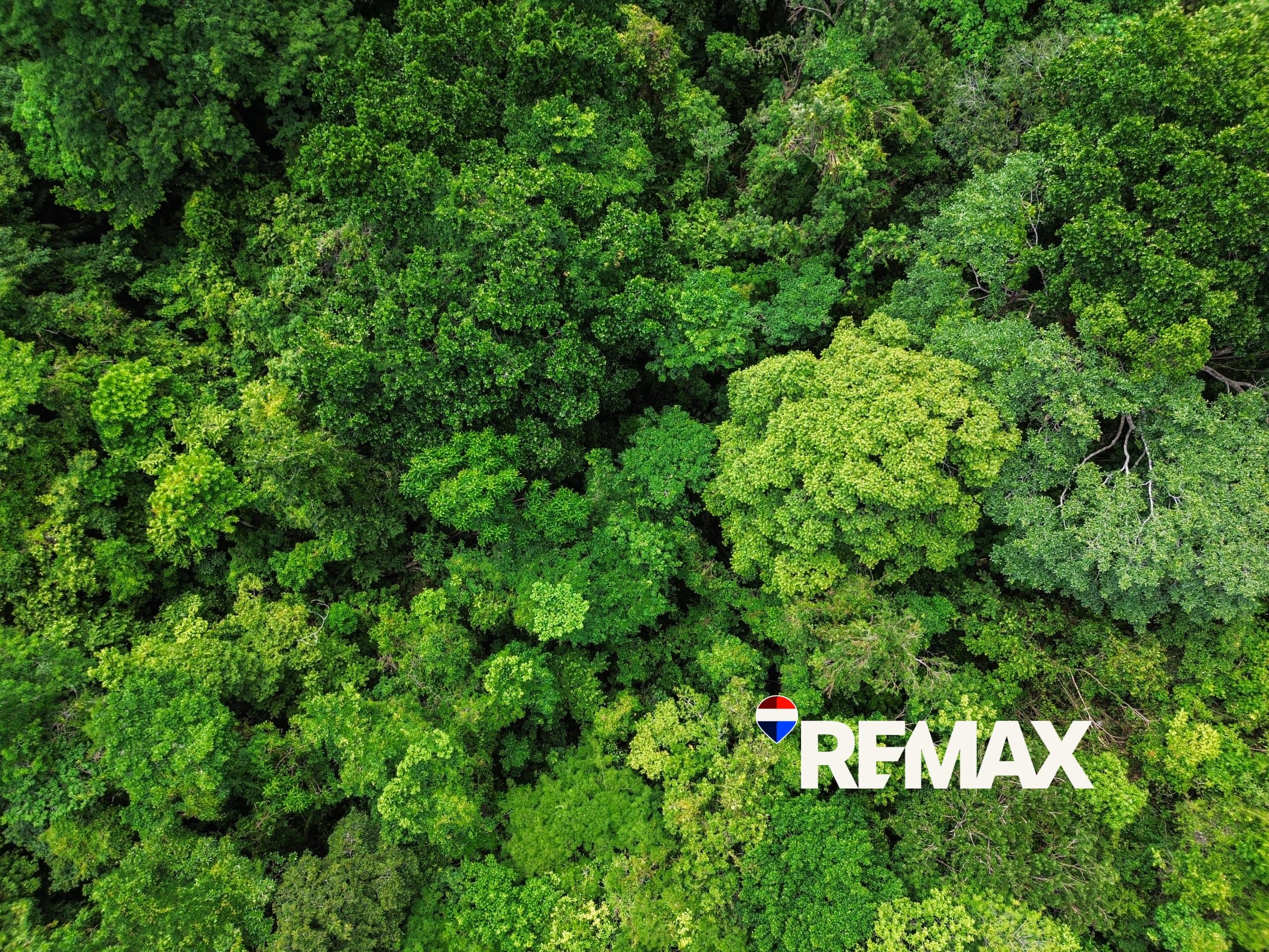 Ocean View Development Land | 6.67 Acres, Playa Hermosa, photo 12