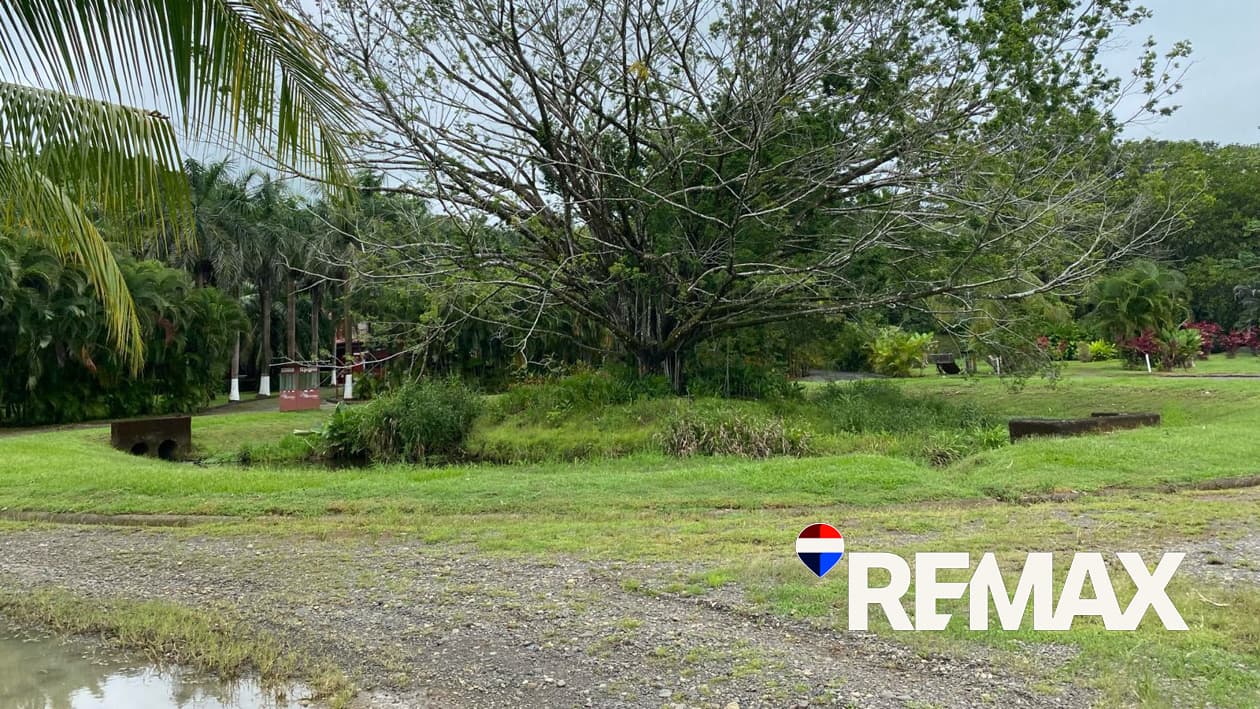 Titled 1,413 m² Building Lot | Rancho Monterey | AYA Water Letter, photo 9