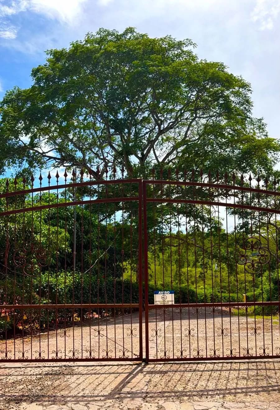 Exclusive unparalleled estate in Playa Panama, photo 51