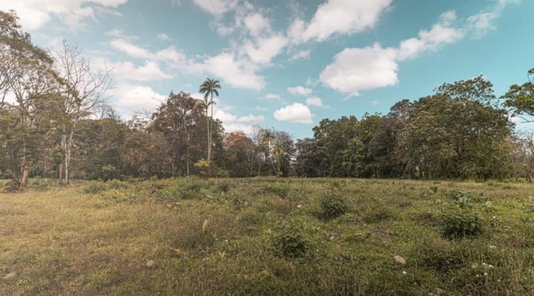 Huge 6 acre Property in San Carlos, perfect for Farm or Project, REDUCED PRICE!, photo 10