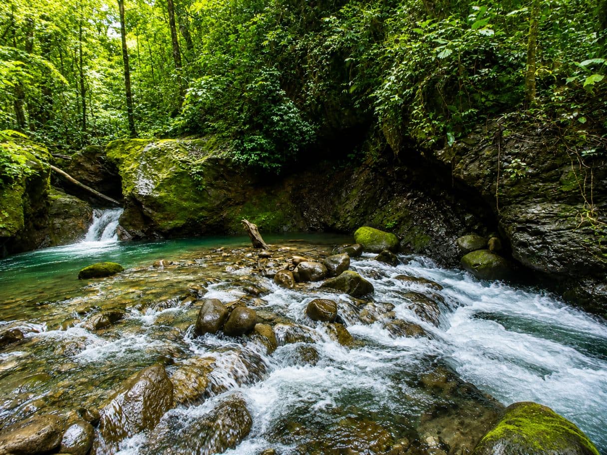 Rare 58-Hectare Conservation & ESG Investment Property with Waterfalls, Thermal Springs, Hydraulic Power and Eco-Lodge Near La Fortuna, photo 3
