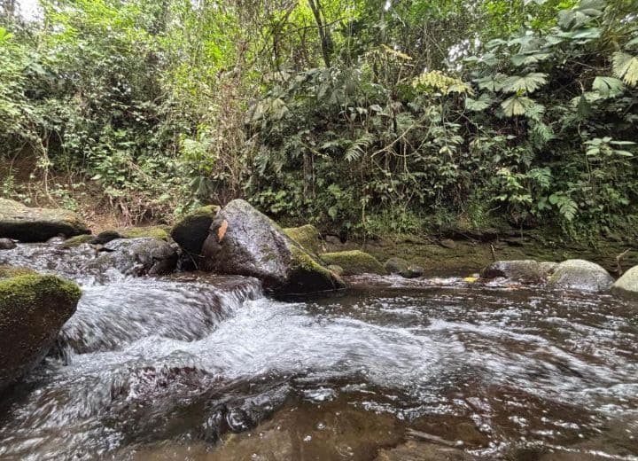 Habana River Lodge Eco Lodge for Sale in La Fortuna Costa Rica, photo 6
