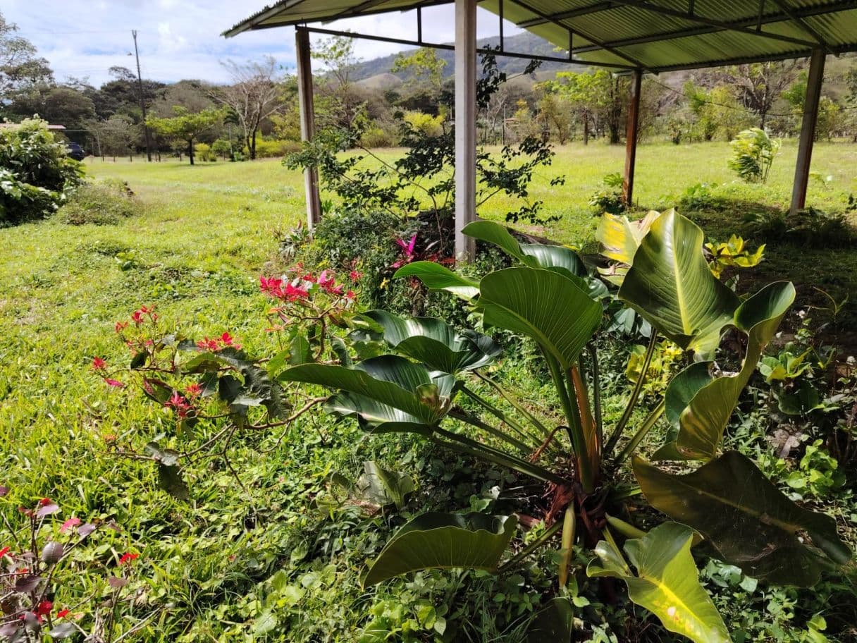 REDUCED PRICE! 5447 m² Property for Sale Near Tenorio Volcano, Costa Rica – Exceptional Investment Opportunity For sale in Costa Rica, photo 5
