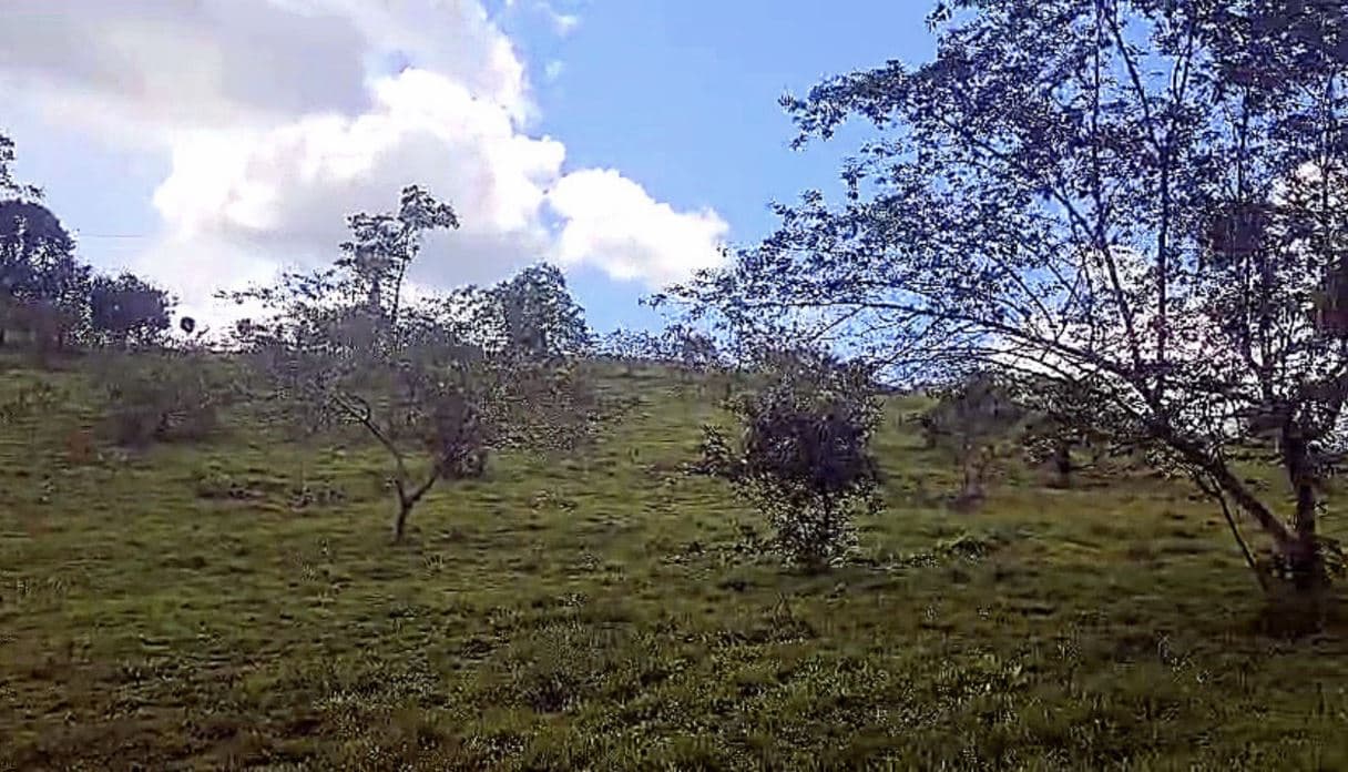 Farmland w Spectacular Views in Northern Guanacaste Costa Rica for Sale 2.7 ACRES by, photo 9