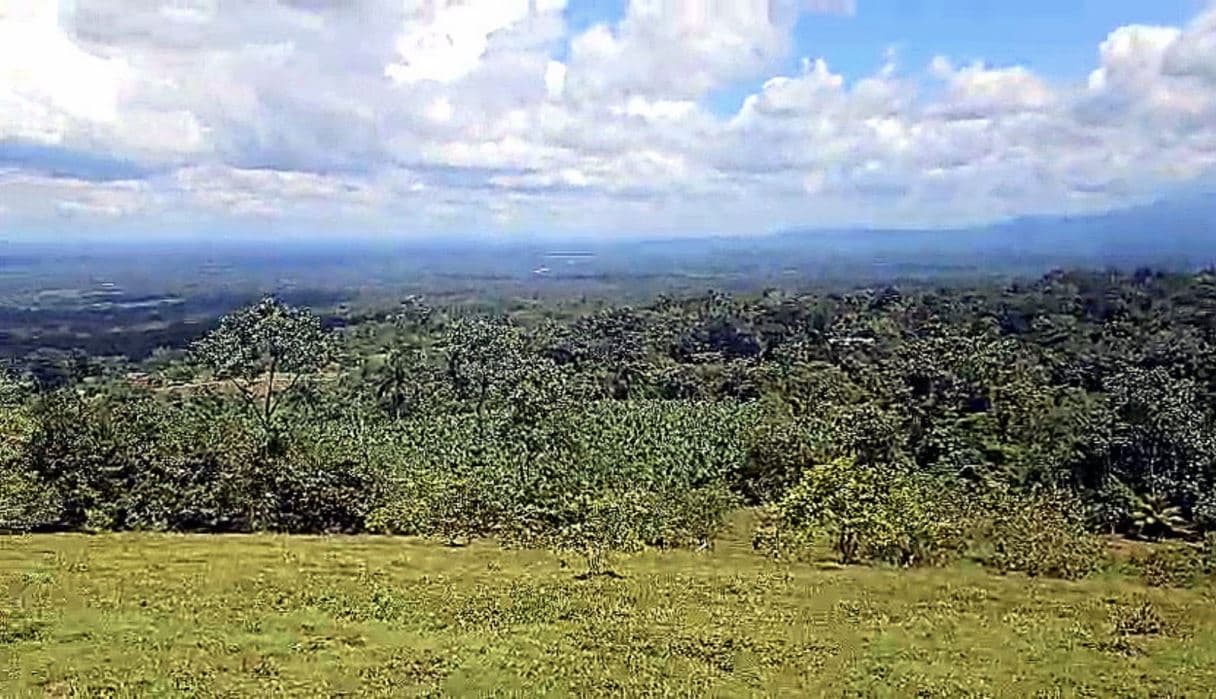 Farmland w Spectacular Views in Northern Guanacaste Costa Rica for Sale 2.7 ACRES by, photo 6