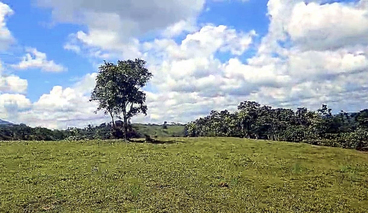 Farmland w Spectacular Views in Northern Guanacaste Costa Rica for Sale 2.7 ACRES by, photo 3