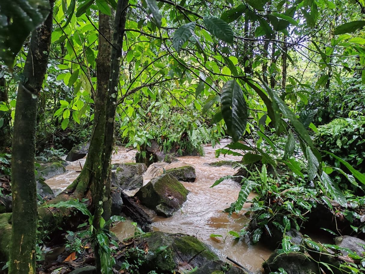 Beautiful Property for Sale in San Miguel de Bijagua, Upala, Alajuela, Costa Rica, photo 7
