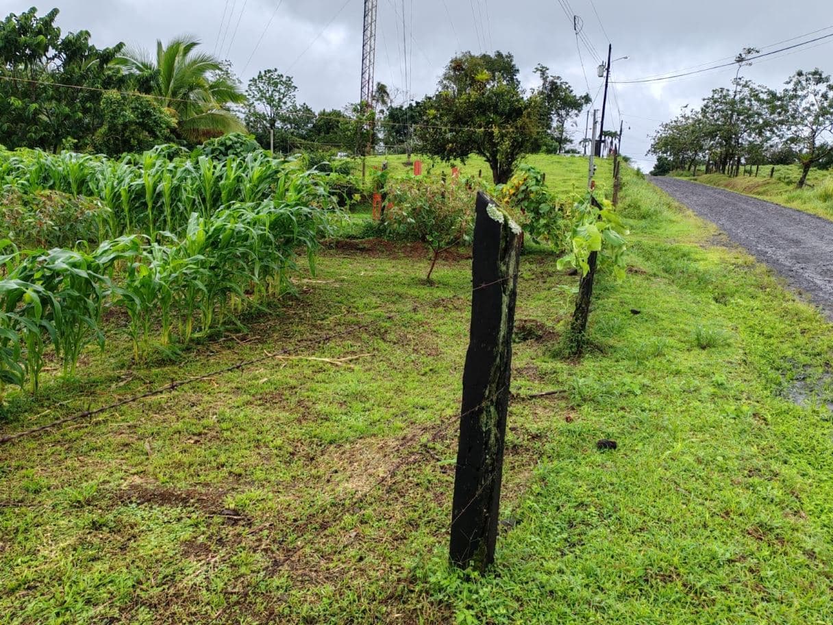 Beautiful Property for Sale in San Miguel de Bijagua, Upala, Alajuela, Costa Rica, photo 23
