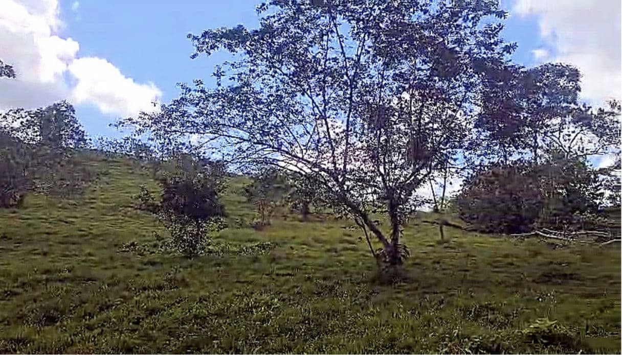 Beautiful Property for Sale in San Miguel de Bijagua, Upala, Alajuela, Costa Rica, photo 30