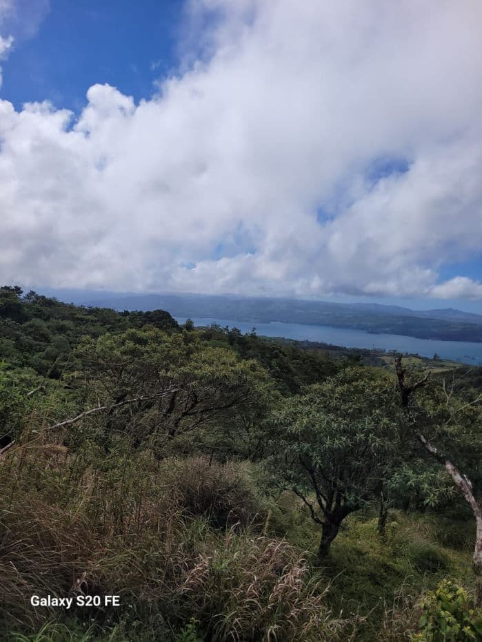 217 Acres BARGAIN PRICE near Lake Arenal, Guanacaste Costa Rica for Sale, photo 8