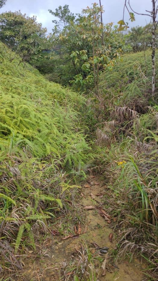 217 Acres BARGAIN PRICE near Lake Arenal, Guanacaste Costa Rica for Sale, photo 12