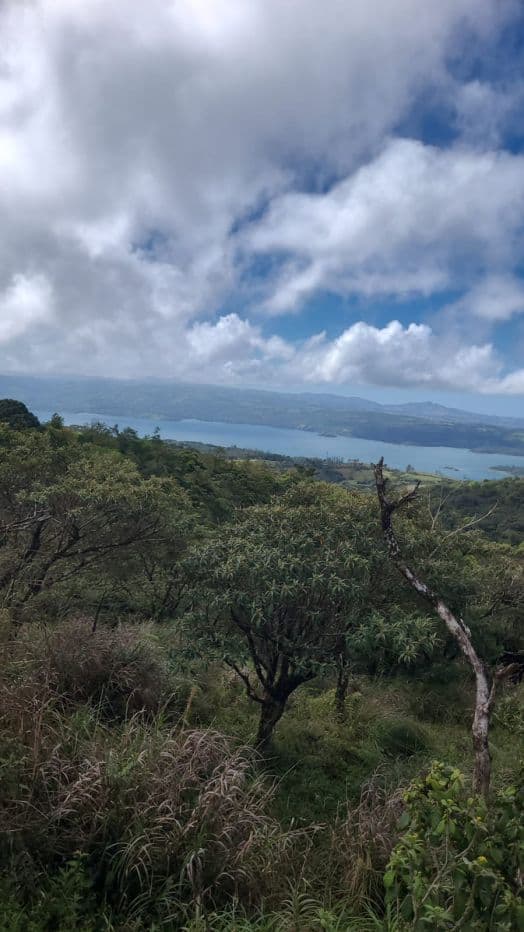 217 Acres BARGAIN PRICE near Lake Arenal, Guanacaste Costa Rica for Sale, photo 14