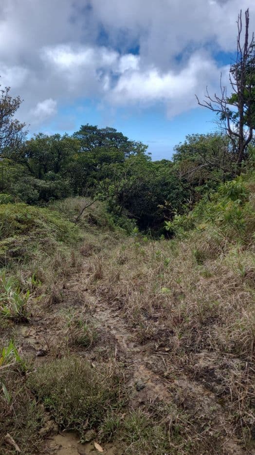 217 Acres BARGAIN PRICE near Lake Arenal, Guanacaste Costa Rica for Sale, photo 9