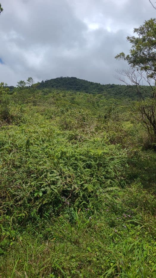 217 Acres BARGAIN PRICE near Lake Arenal, Guanacaste Costa Rica for Sale, photo 7
