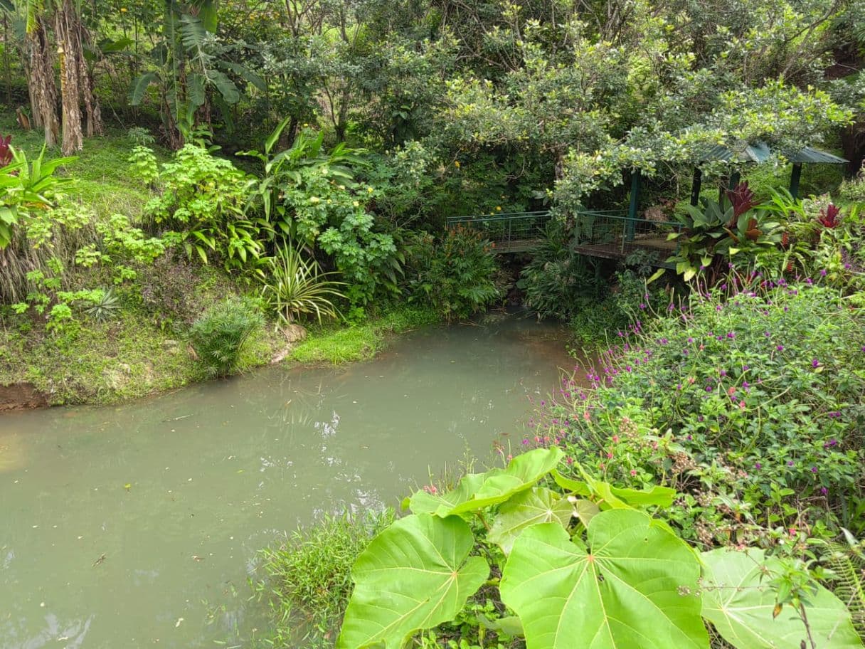 Building lot in Nuevo Arenal, photo 10