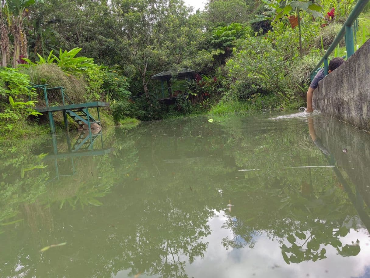 Building lot in Nuevo Arenal, photo 13