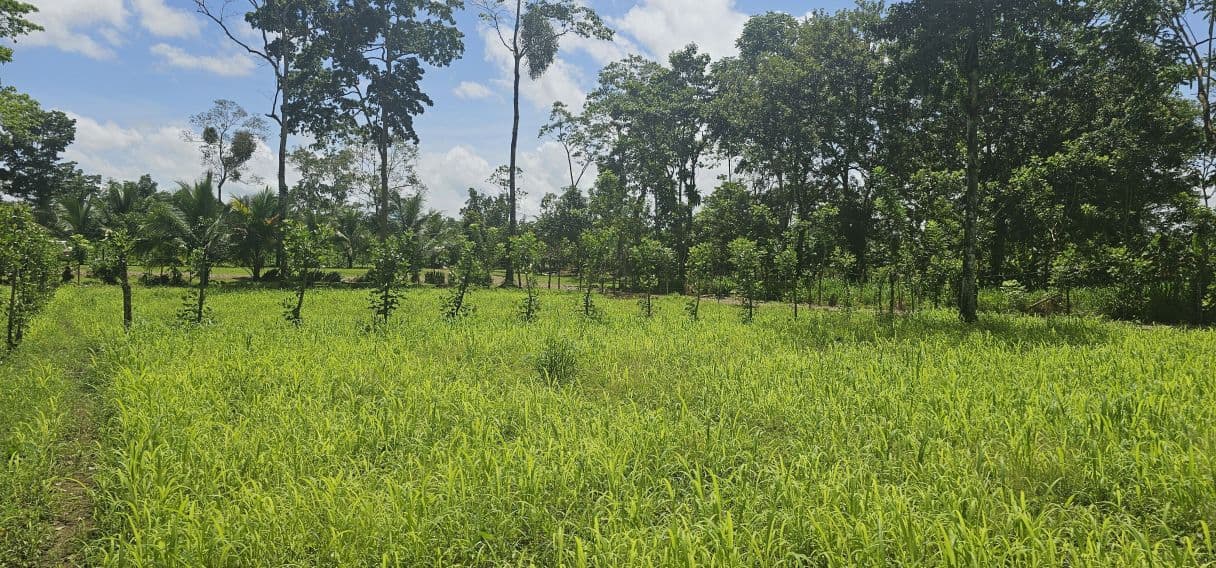 Prime Development Lot with Arenal Volcano Views – 14,000m² in Zonafluca, photo 2