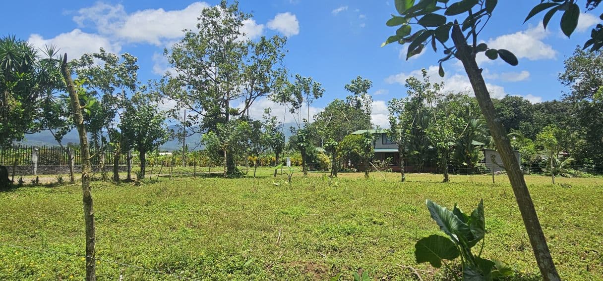 Prime Development Lot with Arenal Volcano Views – 14,000m² in Zonafluca, photo 8