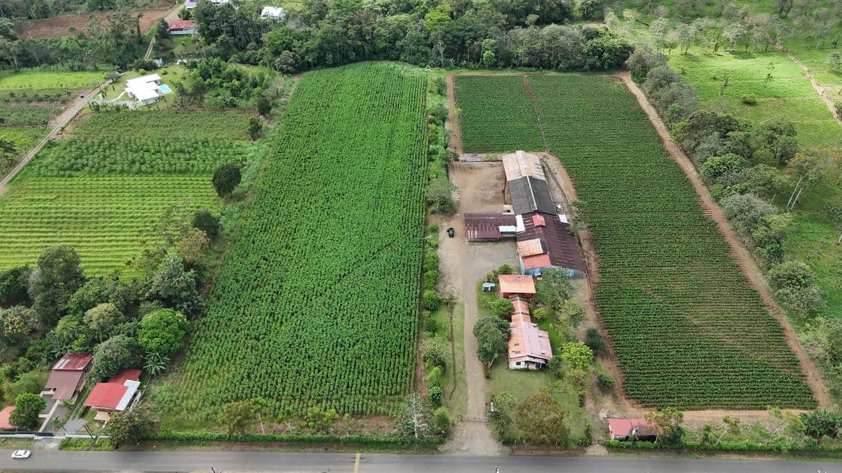 100,000+ m² Agricultural Investment with Established Packing & Processing Facility