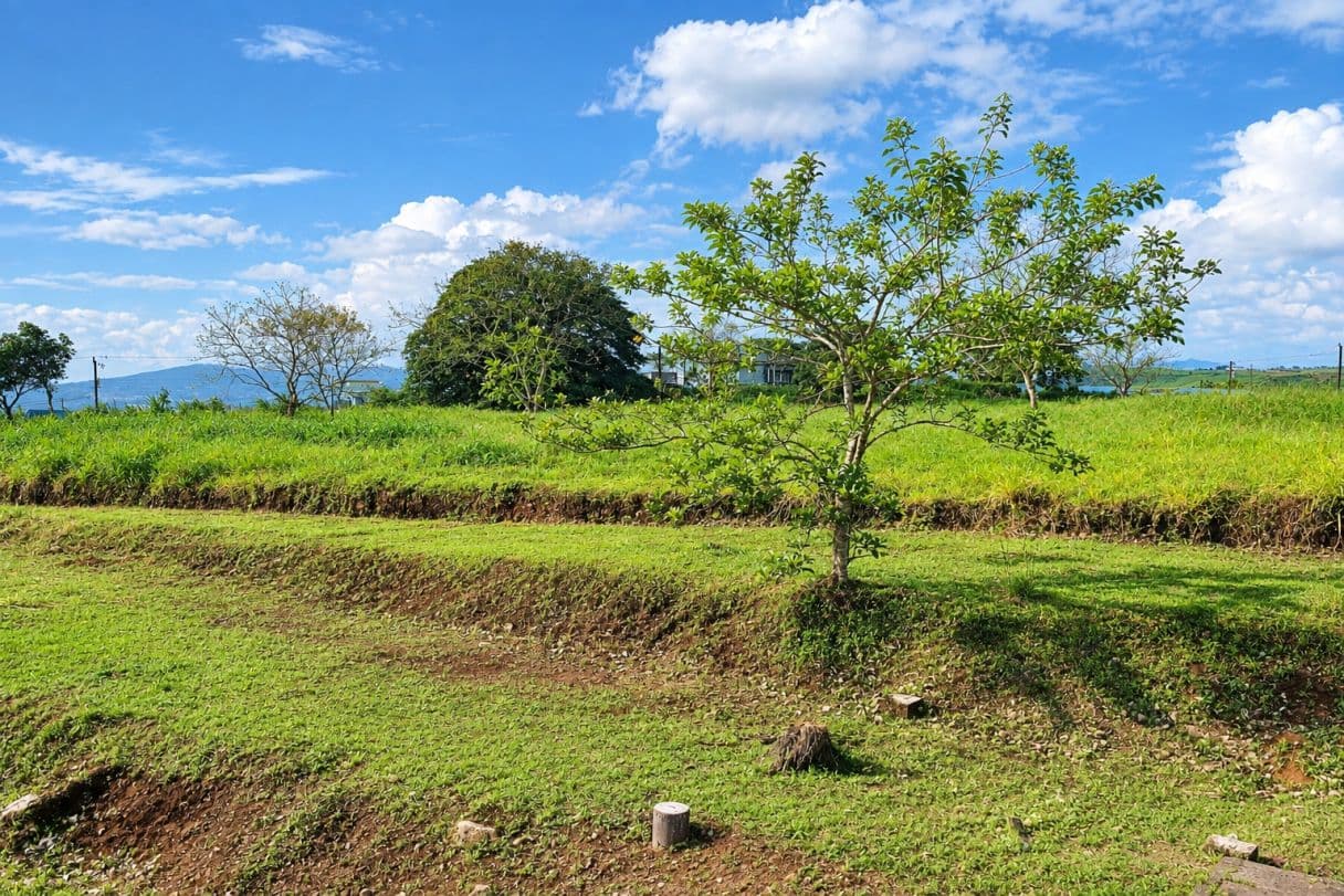 Prime Highway Front Investment Property for Sale in Ciudad Quesada | Commercial & Residential Development Land, photo 3