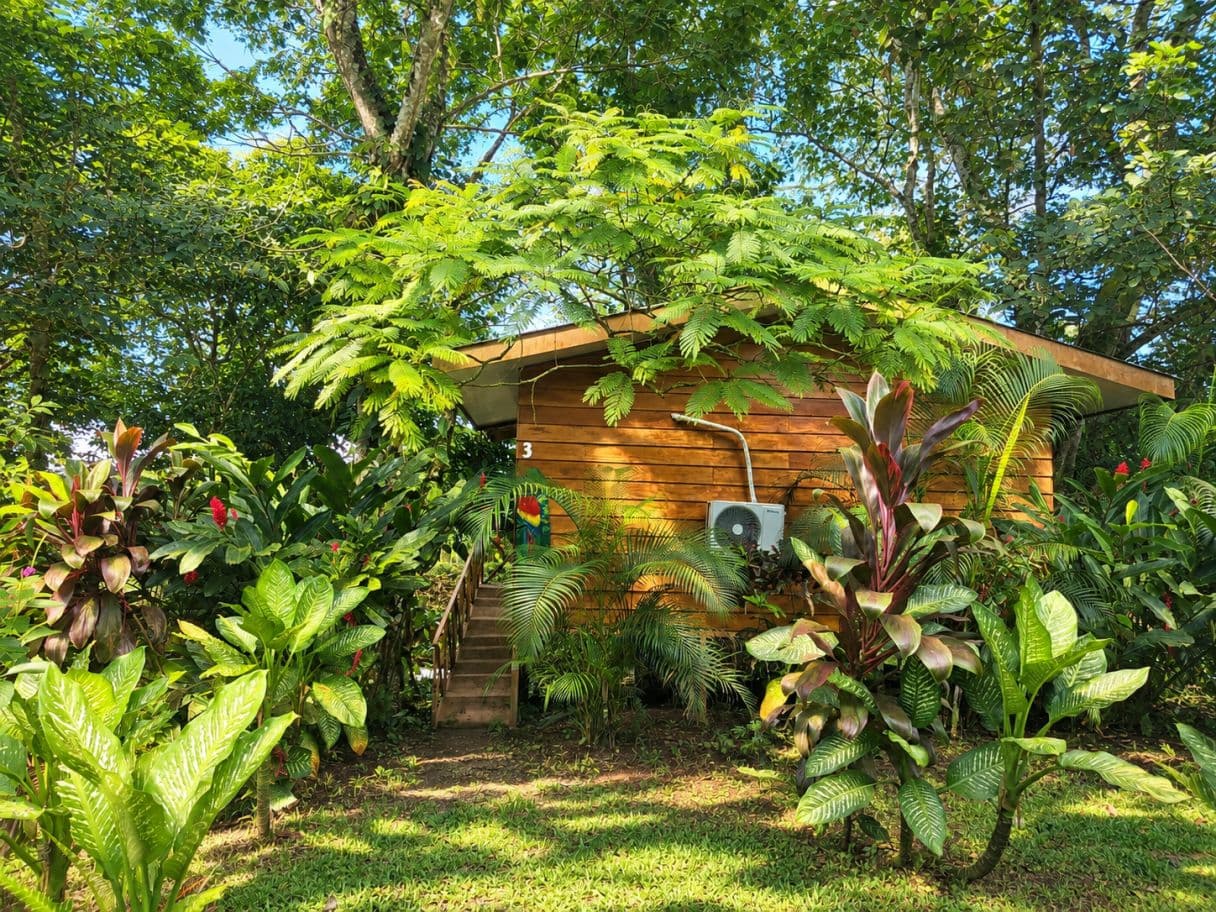 Income-Producing Nature Retreat for sale in Chachagua, La Fortuna, photo 2