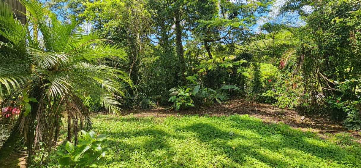 A Rare Tourism Opportunity on Costa Rica’s National Route 702, photo 30