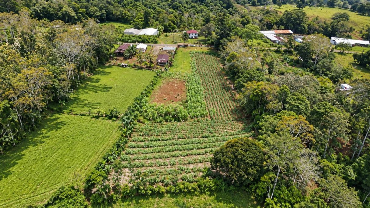 Prime Buildable Land for sale in Chachagua – 6,988 m², photo 3