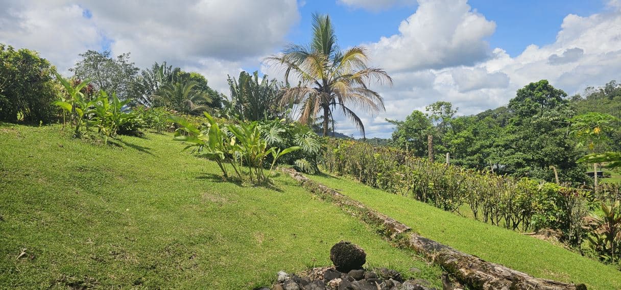 Exceptional Countryside Estate for Sale with Rainforest Views in Chachagua, Costa Rica, photo 27