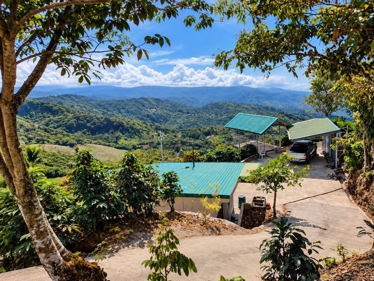 Reduced price for Stunning Mountain Property in Berlin, Costa Rica - Breathtaking Views & Income Potential