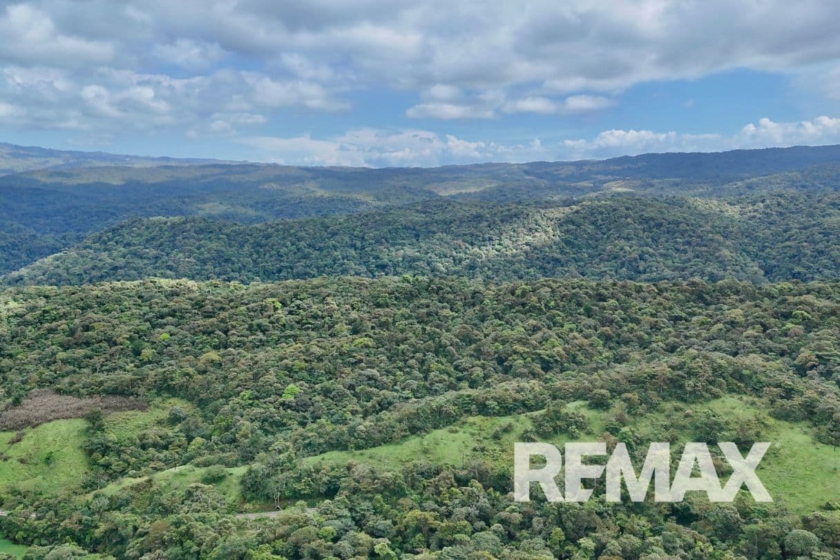 757 Hectares of Cloud Forest for Sale in Costa Rica – Ideal for Carbon Credits, Conservation and Wellness Development, photo 8