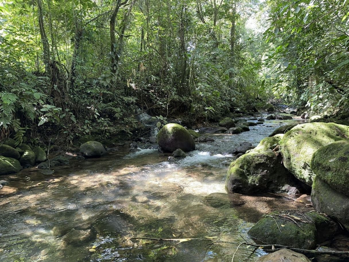 FOR SALE | Arenal Volcano View Investment Property with 4 Houses, Pool & River in La Fortuna, Costa, photo 13