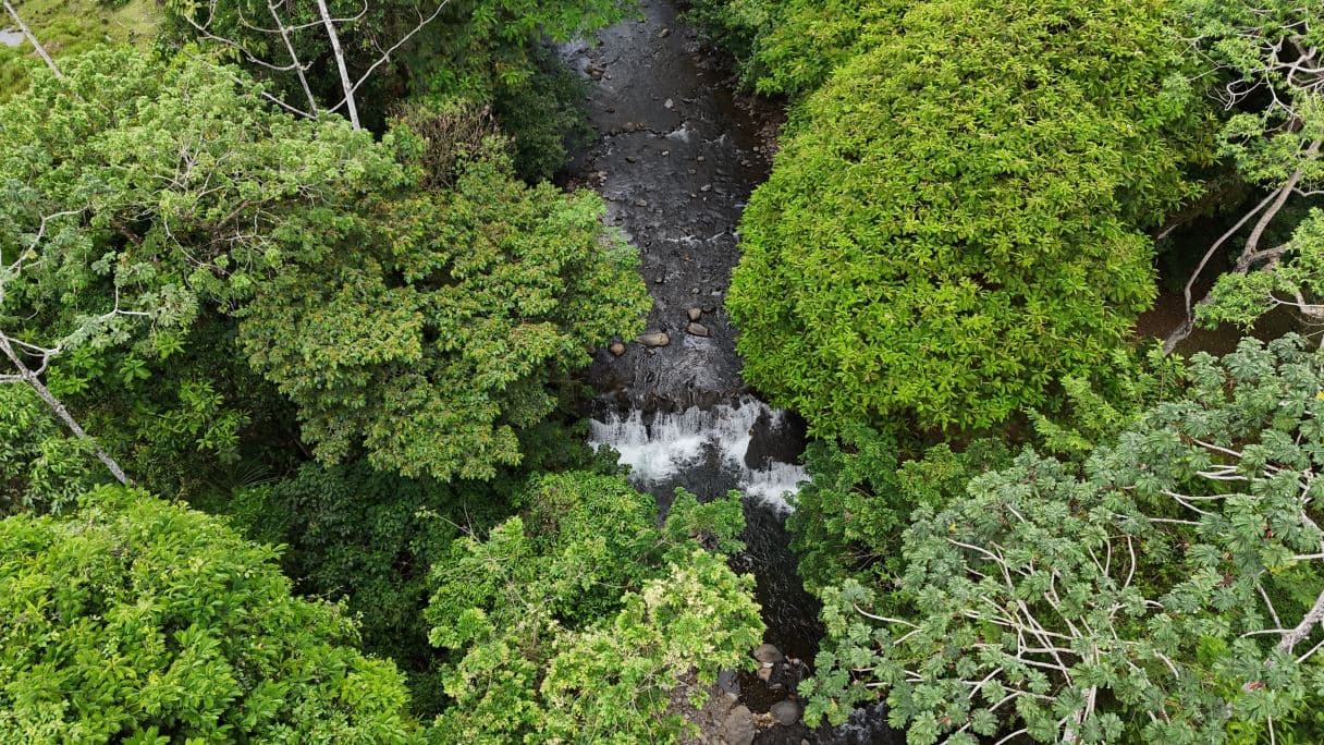 Lot for Sale in a Gated Community Just 15 Minutes from Downtown La Fortuna | $37,000!, photo 13
