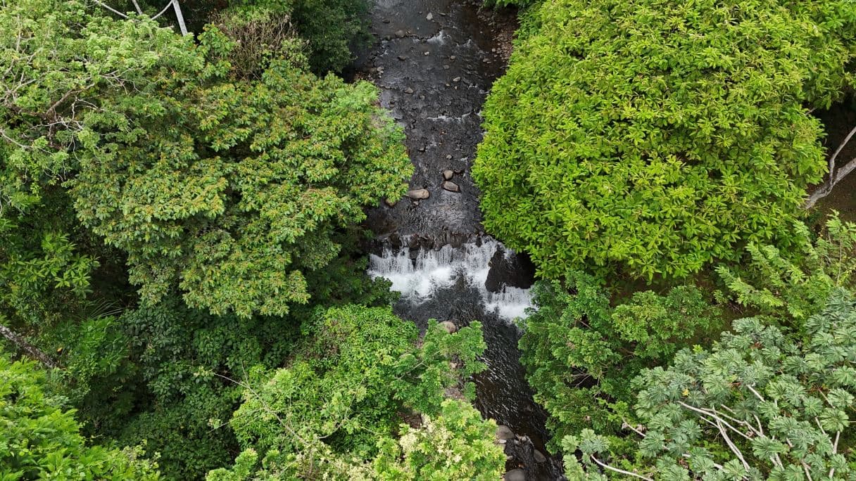 Lot for Sale in a Gated Community Just 15 Minutes from Downtown La Fortuna | $37,000!, photo 3