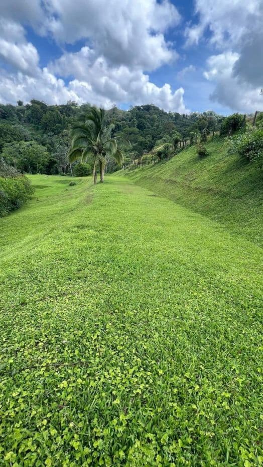 Stunning Buildable 3.4 Acre Lot in La Union with Panoramic Lake Arenal Views, photo 9