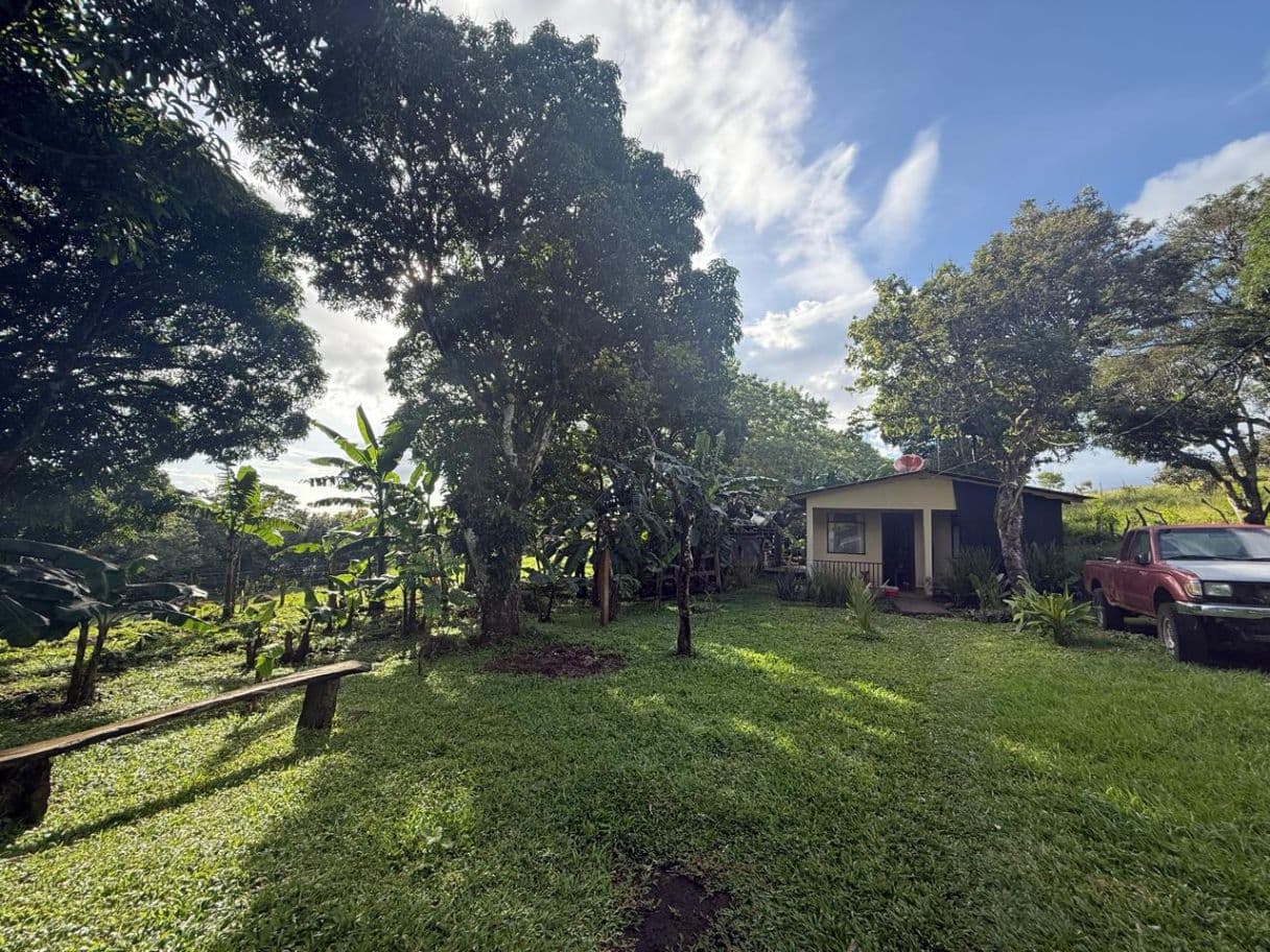 Farm –Nueva Guatemala, Palmira de Cañas, Guanacaste, Costa Rica, photo 3