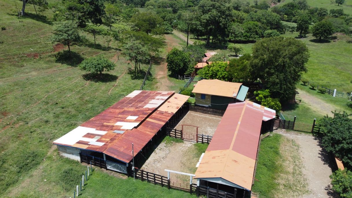166-Hectare Cattle Ranch with Abundant Water and Complete Infrastructure in Cañas, Guanacaste – Investment Opportunity, photo 14