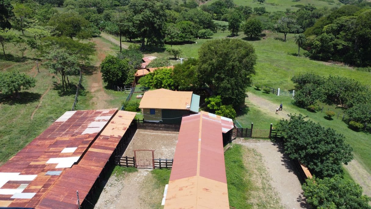 166-Hectare Cattle Ranch with Abundant Water and Complete Infrastructure in Cañas, Guanacaste – Investment Opportunity, photo 13