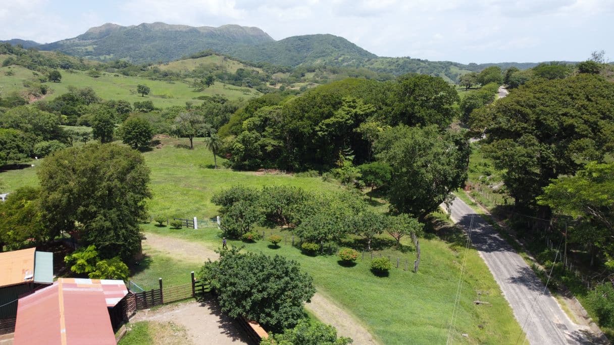 166-Hectare Cattle Ranch with Abundant Water and Complete Infrastructure in Cañas, Guanacaste – Investment Opportunity, photo 12