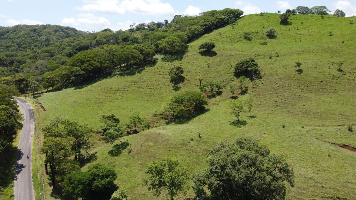 166-Hectare Cattle Ranch with Abundant Water and Complete Infrastructure in Cañas, Guanacaste – Investment Opportunity, photo 17