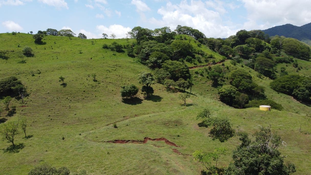 166-Hectare Cattle Ranch with Abundant Water and Complete Infrastructure in Cañas, Guanacaste – Investment Opportunity, photo 18