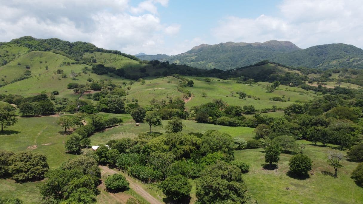 166-Hectare Cattle Ranch with Abundant Water and Complete Infrastructure in Cañas, Guanacaste – Investment Opportunity