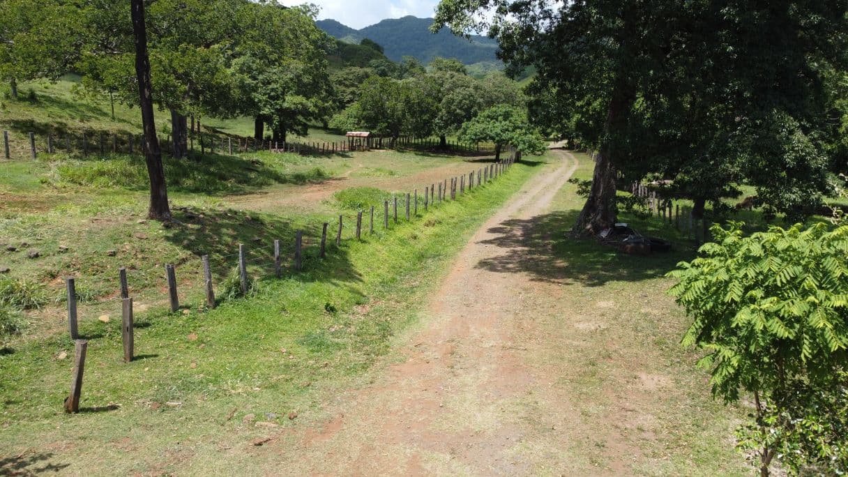 166-Hectare Cattle Ranch with Abundant Water and Complete Infrastructure in Cañas, Guanacaste – Investment Opportunity, photo 25