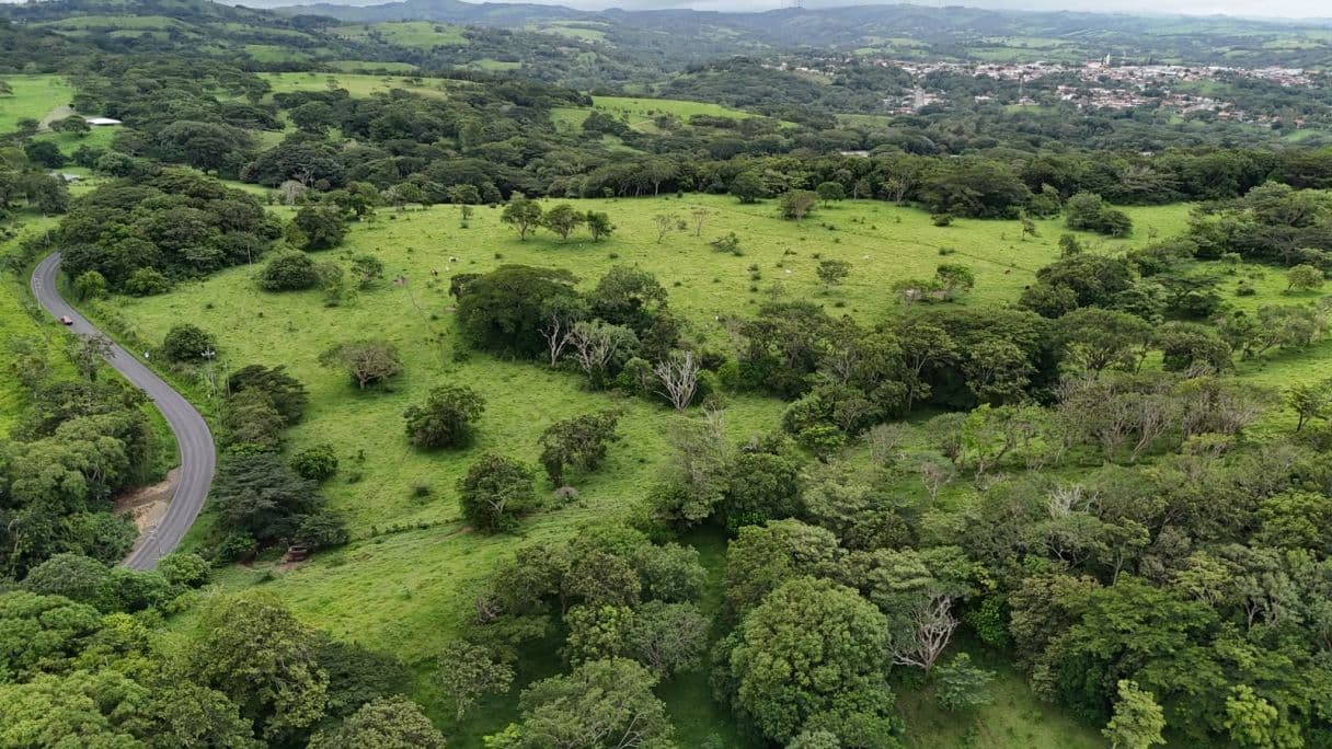 185.93-HECTARE INVESTMENT PROPERTY IN TILARÁN, GUANACASTE