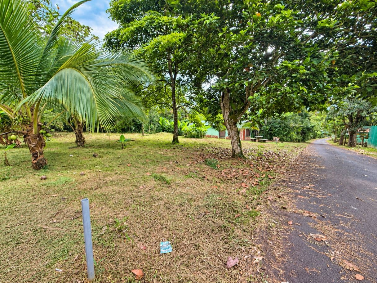 Residential Lot for Sale in the Center of Colonia Puntarenas, Upala, photo 5