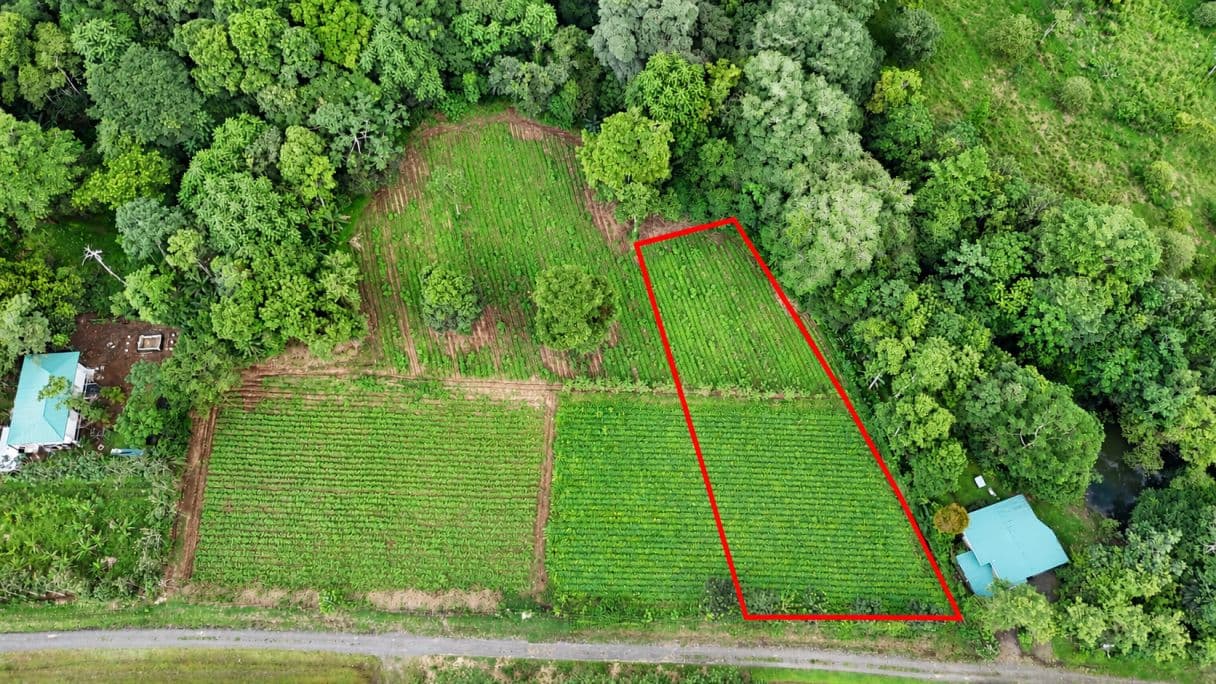 Strategic 5000m2 Lot and High-Yield Opportunity 5 minutes from La Fortuna